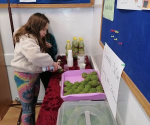 Uczennica dekoruje zieloną babeczkę