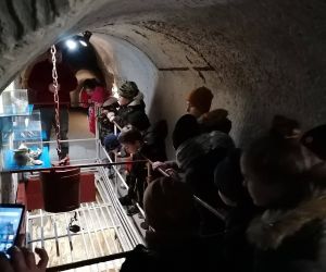 Uczniowie na wystawie w Chełmskich Podziemiach Kredowych