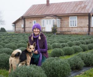 Kobieta z psem pomiędzy krzakami lawendy. W tle stara chatka.