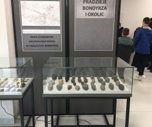 Ekspozycja eksponatów archeologicznych w szklanej gablocie