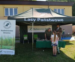 Stoisko Lasów Państwowych