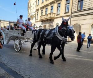 Wycieczka do Krakowa