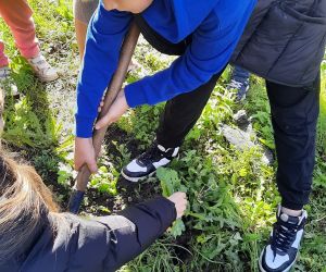 Uczniowie sadzą drzewa