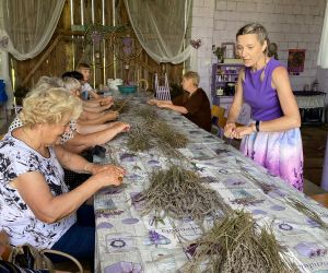 W stodole wielki stół na którym leży wysuszona lawenda, przy nim siedzą ludzie, Prowadząca spotkanie stoi,ubrana jest na fioletowo