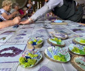 Seniorzy siedzą przy stole, są zajęci wykonywaniem pracy plastycznej