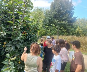 Uczniowie polscy i portugalscy przy drzewach owocowych