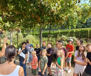 Uczniowie oglądają winorośl na farmie ekologicznej