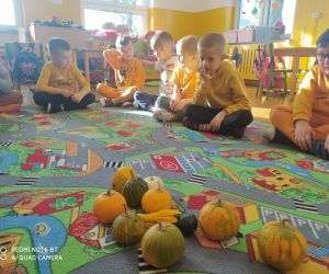 dzieci patrzą się na dynie ułożone na dywanie