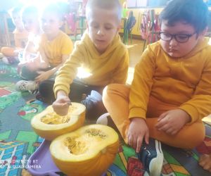 chłopcy dotykają pestki dyni