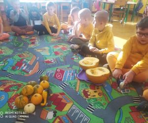 dzieci oglądają różne rodzaje dyń