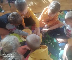 chłopcy wyciągają pestki z dyni i kładą na tacę