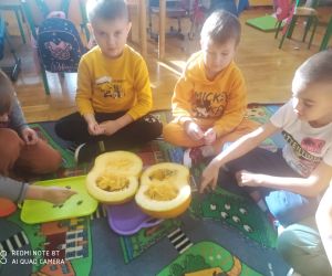 chłopcy oglądają wewnętrzną część dyni