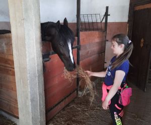 Dziewczynka w kolorowym ubraniu karmi konia sianem