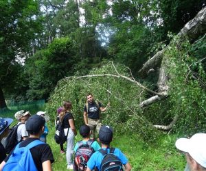 Dzieci znajdują się na świeżym powietrzu, uczą się rozpoznawania roślin jadalnych.