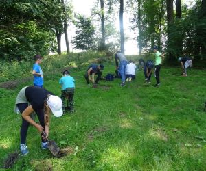Dzieci znajdują się na polanie i kopią dołki, w których będą rozpalały ogień. 