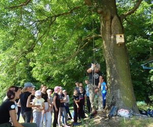 Dzieci znajdują się na świeżym powietrzu, uczą się wspinaczki.