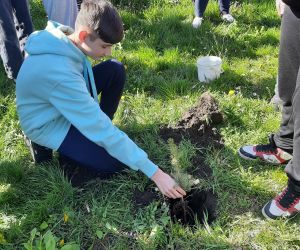 Uczeń sadzi drzewko