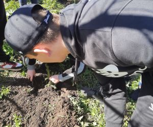 Uczniowie podczas sadzenia drzew