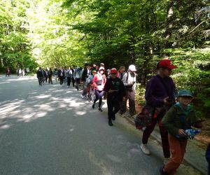 Uczniowie klas 3-8 na szlaku na szczyt Święty Krzyż