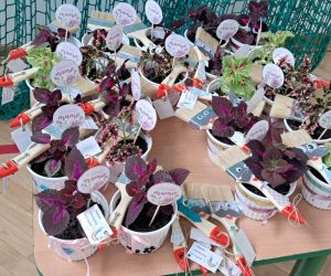 Prezenty z okazji Dnia Mamy i Taty.