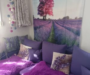 Widok na wnętrze lawendowego domu