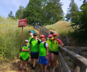 Uczniowie przy wejściu na grodzisko w Gródku