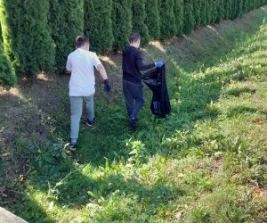 Dwóch uczniów zbiera śmieci do worka przy szpalerze drzew