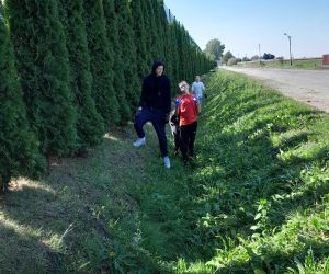 Trzech uczniów zbiera śmieci przy drodze