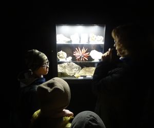 Uczniowie z przewodniczką w muzeum przy gablocie ze skamielinami