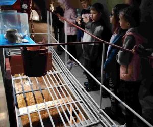 Grupa uczniów przy ekspozycji muzealnej w podziemiach kredowych