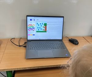Uczennica podczas zabawy online-kodowanie obrazków